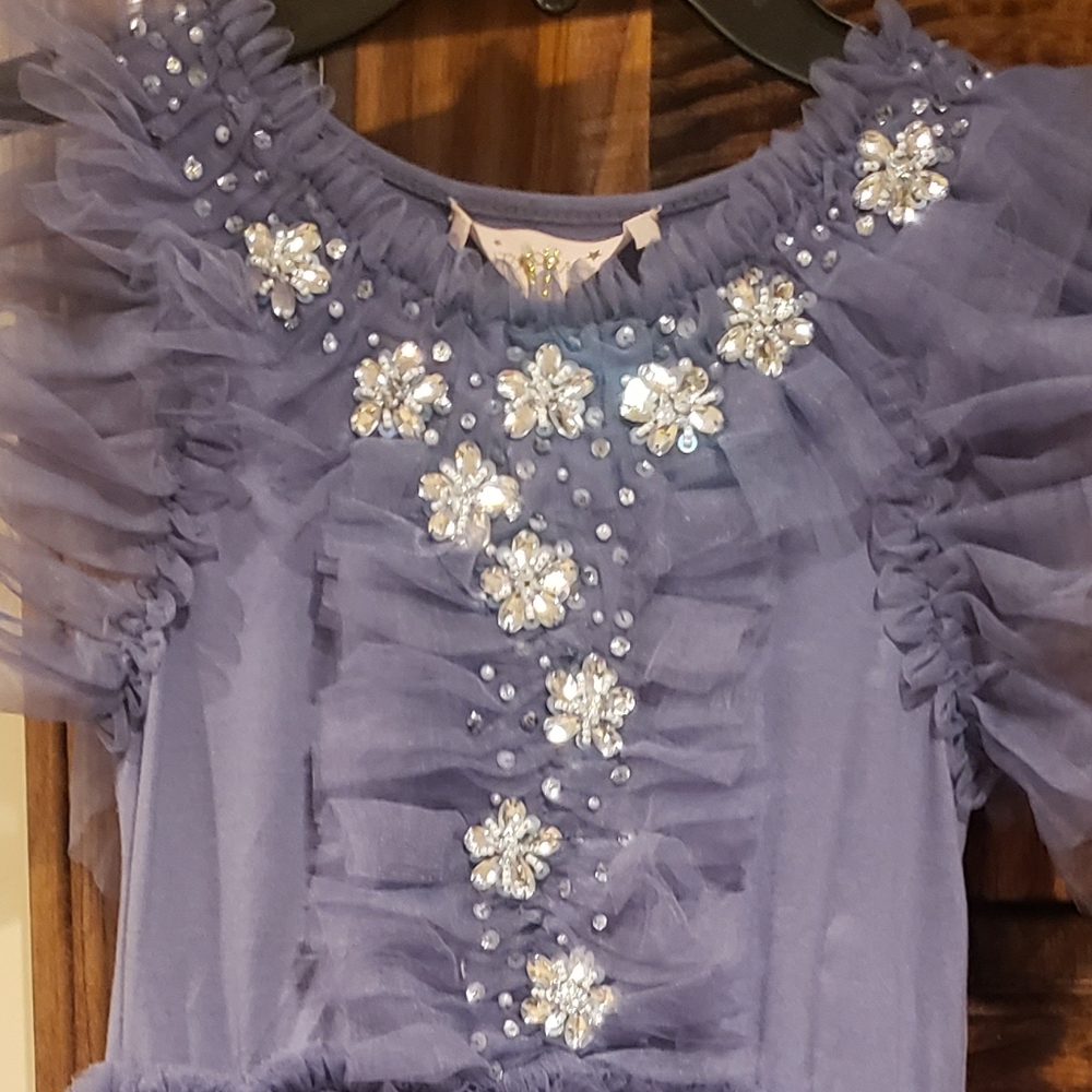 TTDM tutu du monde tulle dress 10 11 - Picture 6 of 7